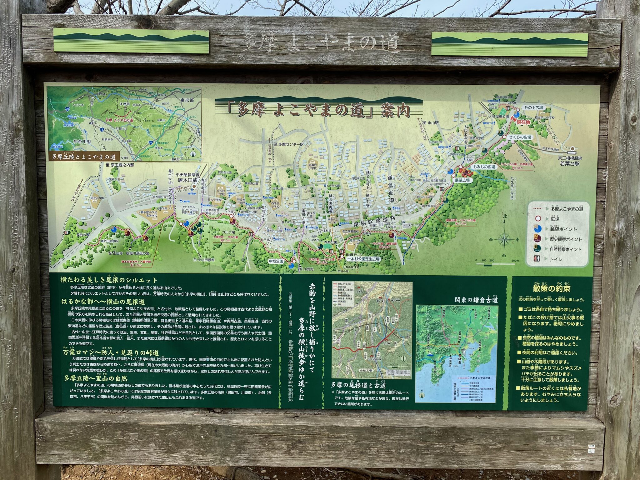 “多摩よこやまの道”を歩く